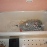 BEFORE: EXTREME ACID DAMAGE TUB FROM DRAIN CLEANER